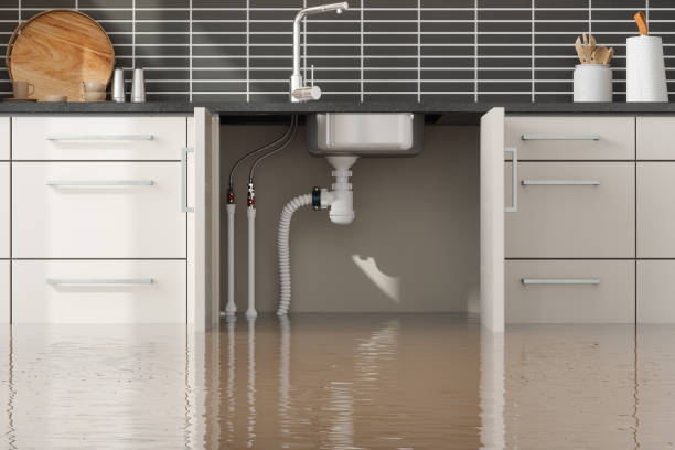 Best Water Damage Assessment and Inspection in USA